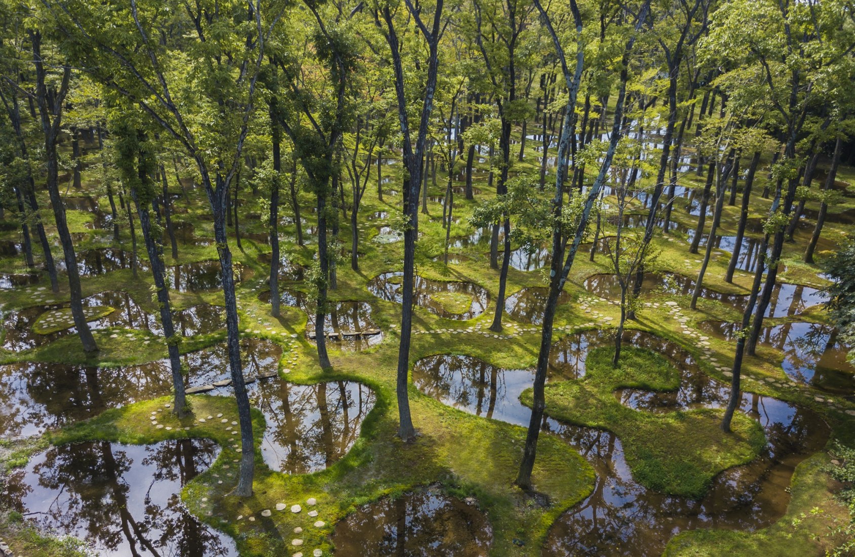 נוף יפני מדהים: גן המים – Junya Ishigami