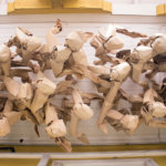 דמויות הנייר המסתובבות בערי צ'ילה