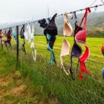 הניו זילנדים תולים את האשפה שלהם על גדרות