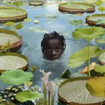 שחור אלגנטי בג'ונגל