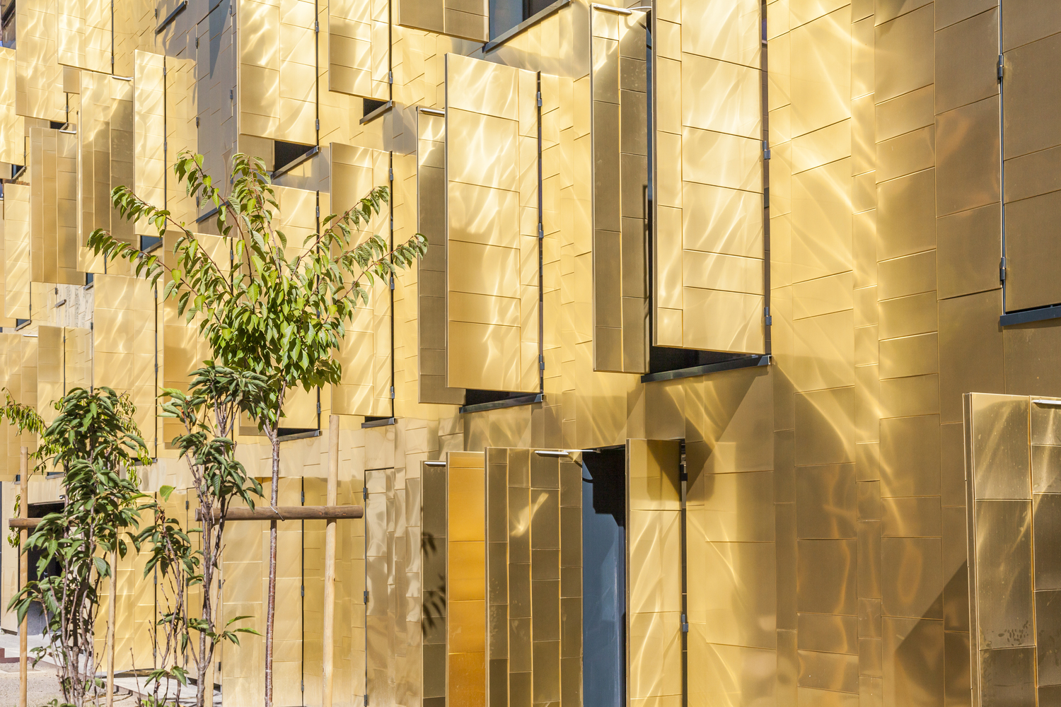 שיפוץ מכללה עתיקה בטולוז