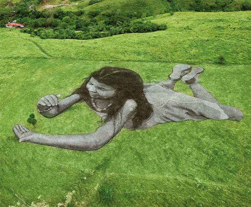 ציורי הדשא הענקיים של  Saype