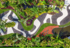 הגנים המהפנטים ביותר של האמן הברזילאי Roberto Burle Marx