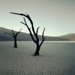 העצים המופלאים מרחבי העולם