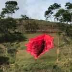 פסל חוצות שנראה כמו פות נשי, מעורר סערה בברזיל