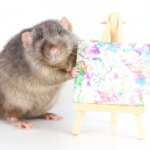 ציורי עכברושים הפכו ללהיט מסחרי, עם ביקוש רב