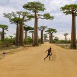 האדם שמאחורי הכותרות אצל צלם העיתונות Steve McCurry