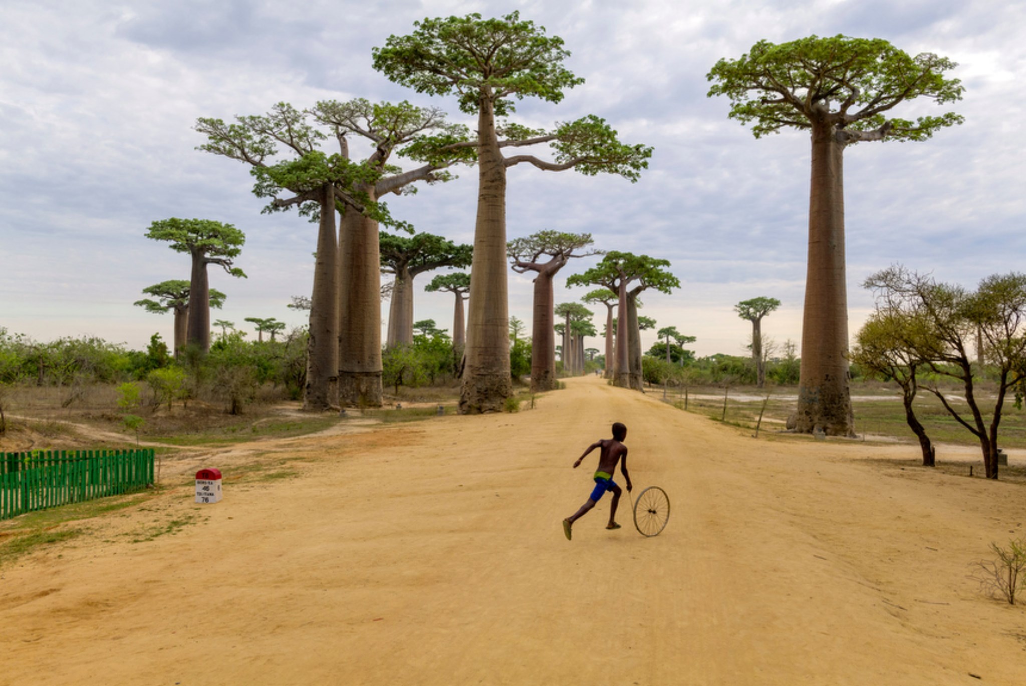 האדם שמאחורי הכותרות אצל צלם העיתונות Steve McCurry