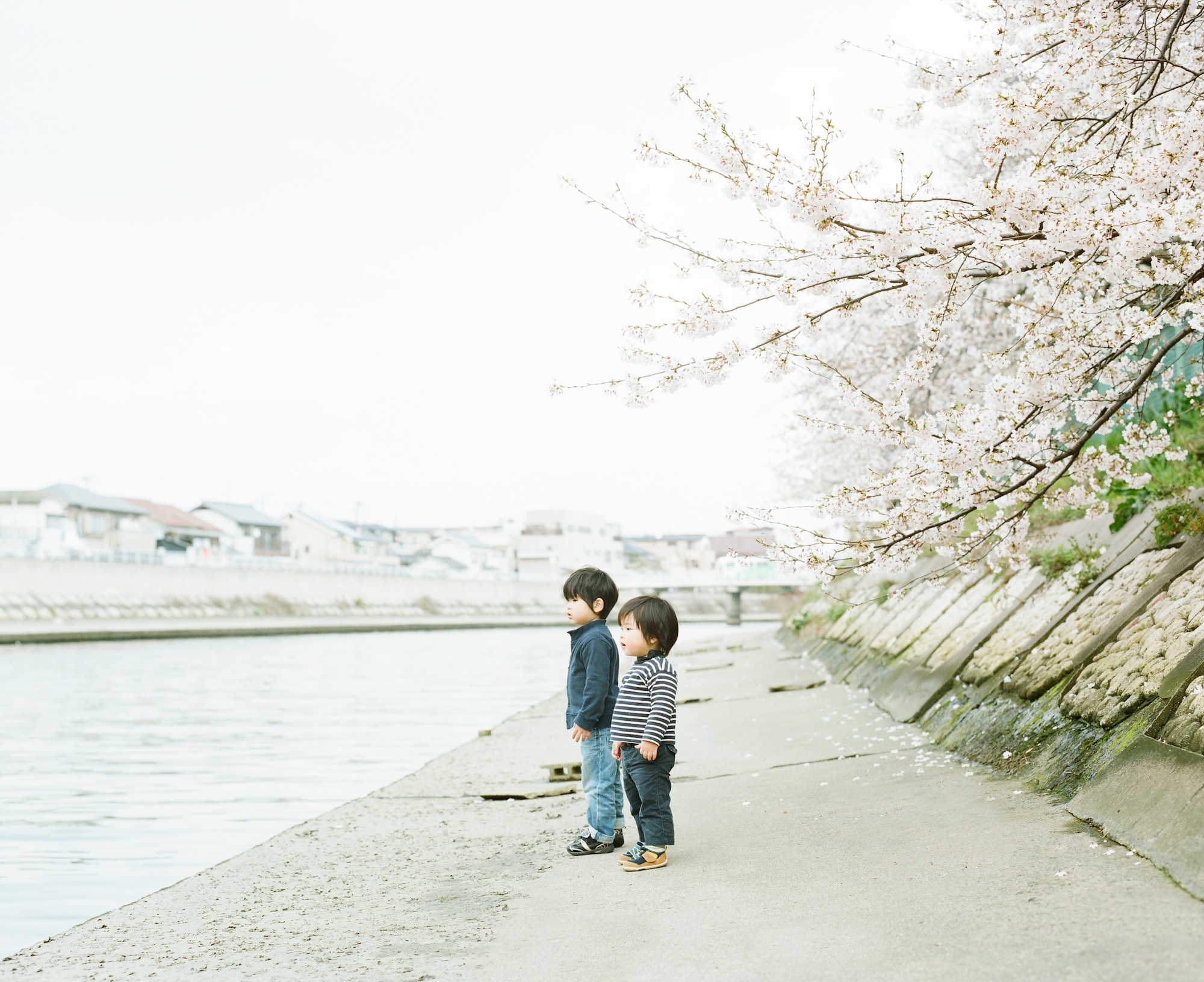 אודה לילדות: Haru and Mina מאת הידאקי חמדה