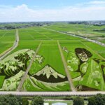 פסטיבלי אמנות שדות האורז ביפן 2021