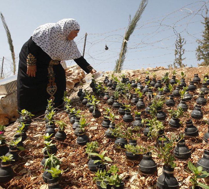 גן זיכרון בגדה המערבית עם עציצים ממכלי גז מדמיע ישנים