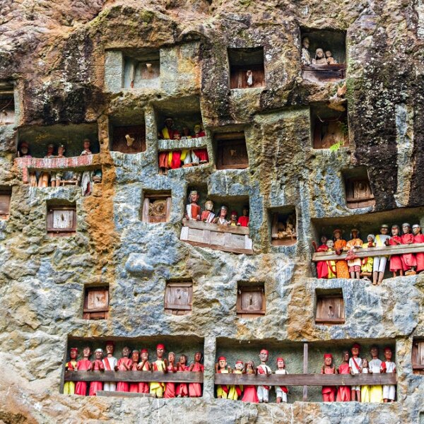 מנהגי הקבורה של שבט טוראג'אן באינדונזיה