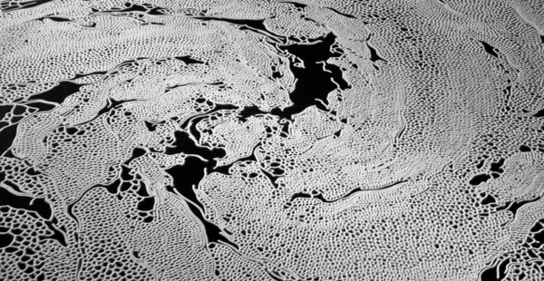 מבוכים של מלח פרוסים על רצפת טירה צרפתית: Motoi Yamamoto