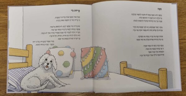 ספר לילדים יפים, מסודרים ומעוצבים