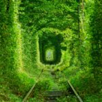 מנהרת האהבה באוקראינה