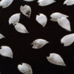 האמן Motoi Yamamoto יוצר מיצבים מפוסלים בפירוט רב ממלח