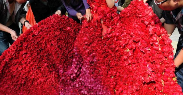 גבר הציע נישואין עם שמלה עשויה מ-9,999 ורדים אדומים