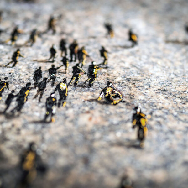 האנשים שנמאס להם שדורכים עליהם