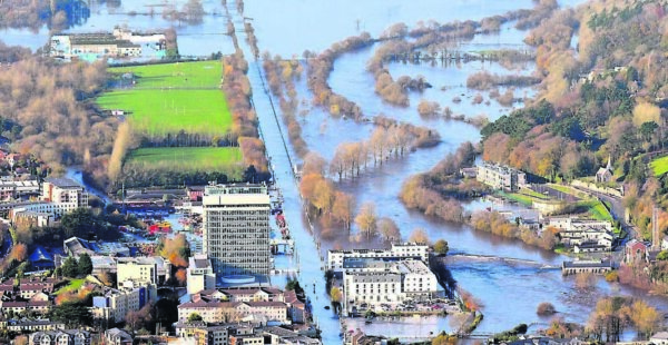 Arnhem העיר ההולנדית שמחליפה את האספלט בירוק