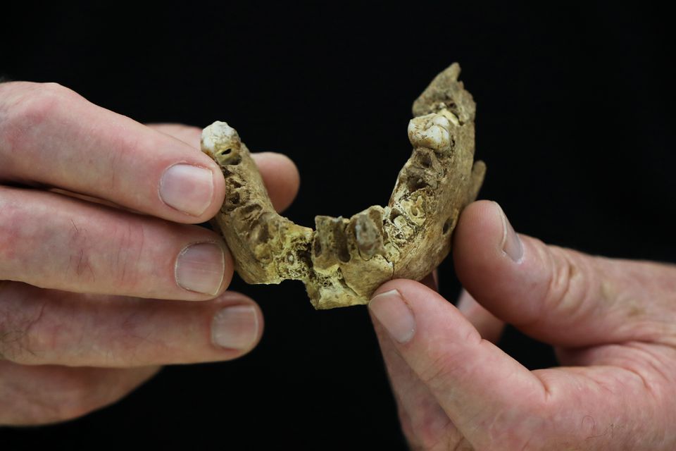 שרידי האדם הקדמון ביותר בתולדות האנושות נמצאו עתה בישראל