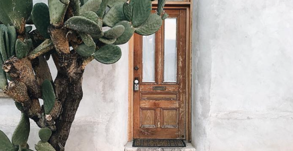 פתחים: a room with a view