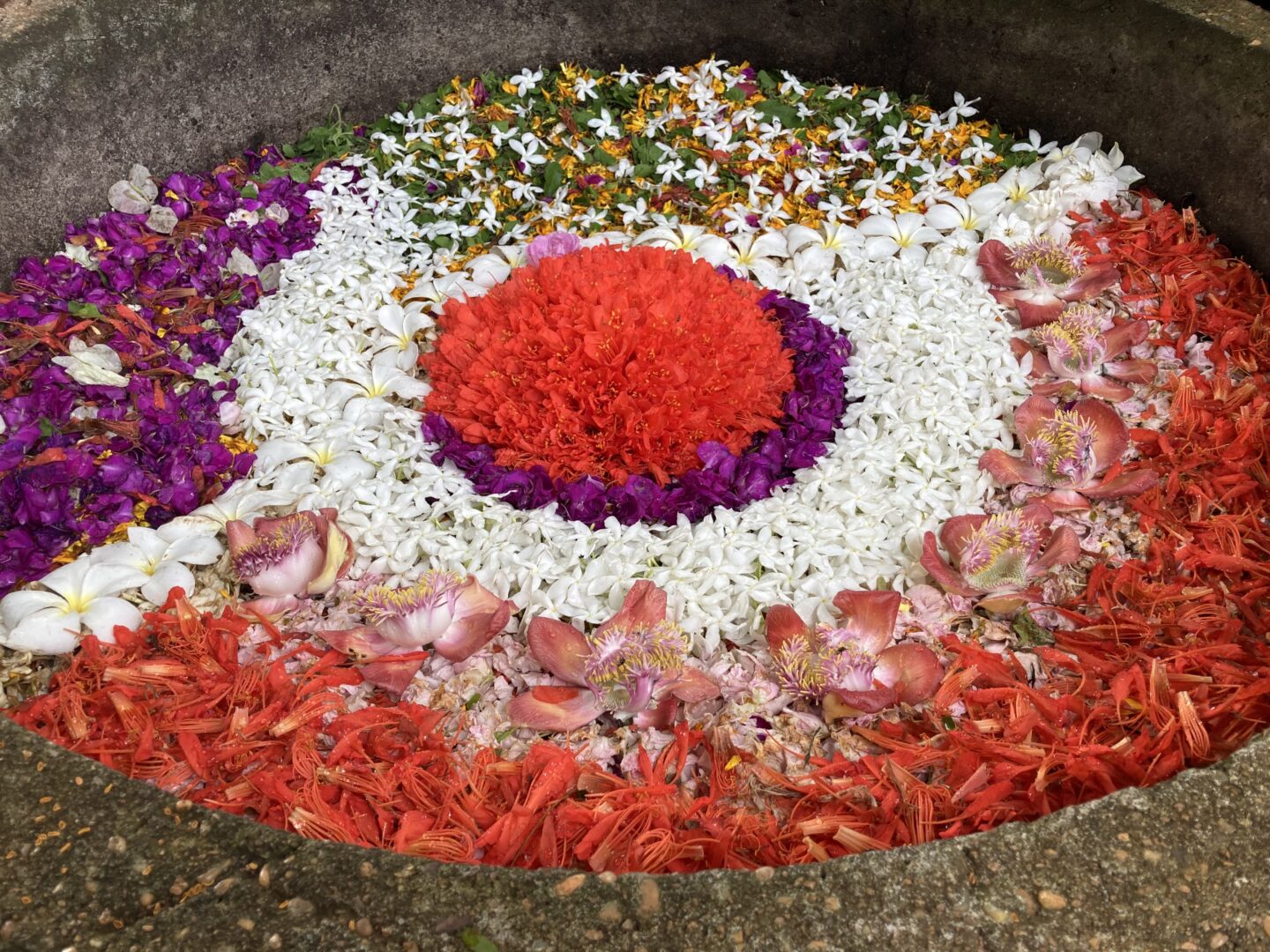 מנדלות מפרחים שיוצרת ישראלית שעברה לאשרם בהודו