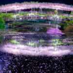 ארץ האגדות הפרחונית של יפן: פסטיבל Wisteria Festival הגדול ב-Ashikaga