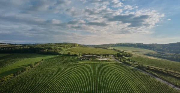יקב Gurdau Winery בצ'כיה, משתלב בנוף
