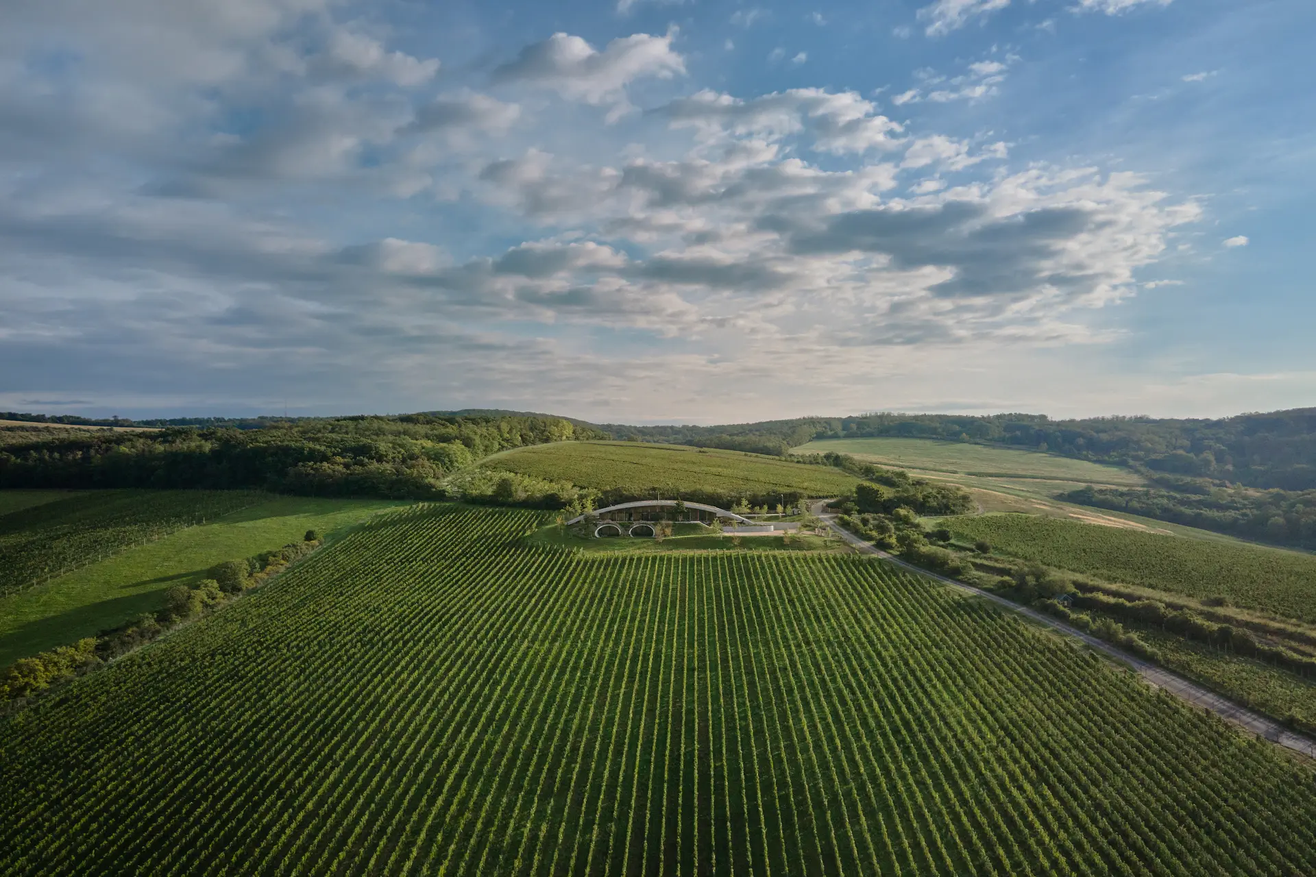 יקב Gurdau Winery בצ’כיה, משתלב בנוף