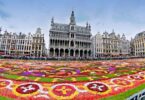 שטיח הפרחים הענק של בריסל, יפרס השנה באוגוסט