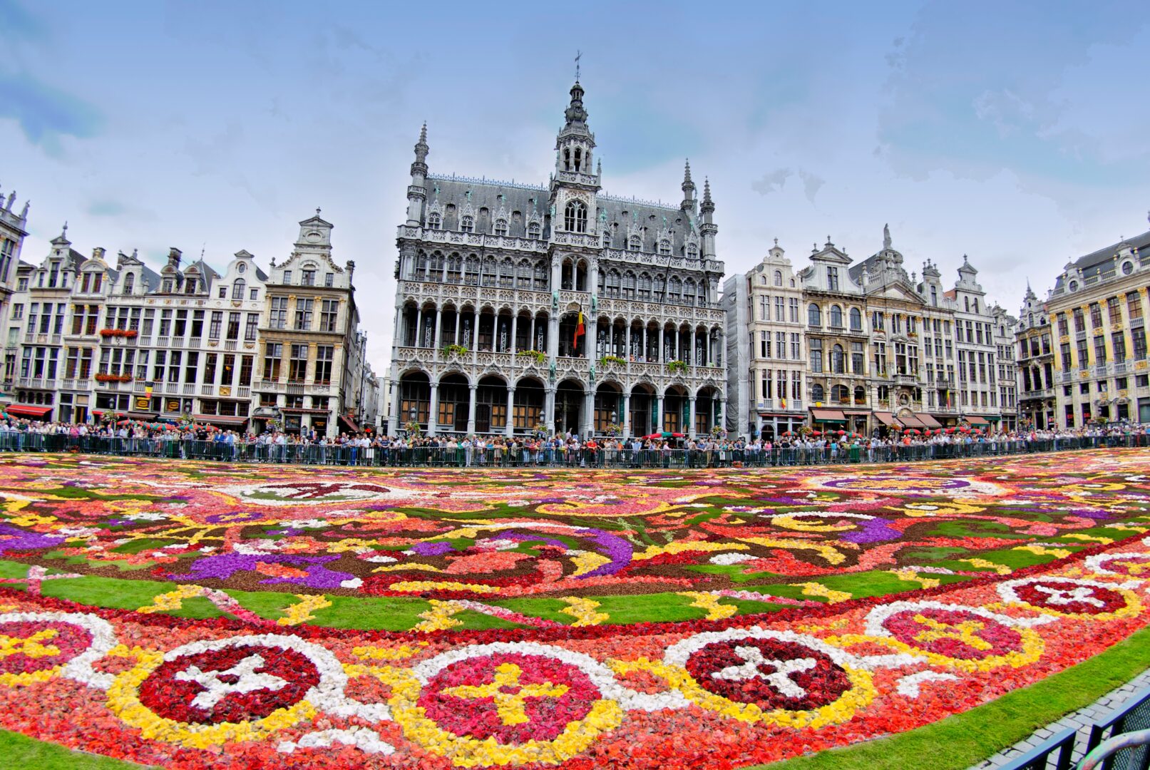 שטיח הפרחים הענק של בריסל, יפרס השנה באוגוסט