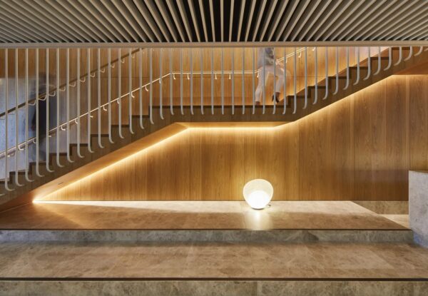 ניו לייט: חברת התאורה המשפחתית הוותיקה והחדשנית