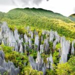 הפארק הלאומי Mulu National Park, מלזיה