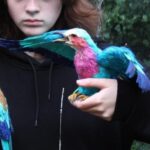 בעלי החיים מחוטים, שיוצרת האמנית מנס ציונה