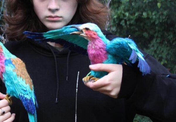 בעלי החיים מחוטים, שיוצרת האמנית מנס ציונה