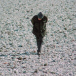 האספן האיטלקי Luigi Lineri, אוסף ומסווג אבנים