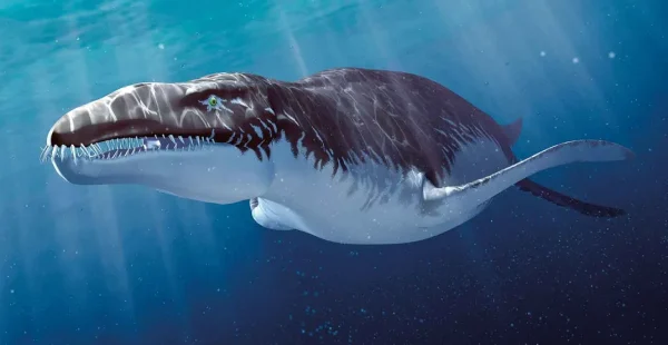 בני אדם גרמו להכחדת רוב מיני בעלי החיים שנעלמו