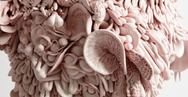 פורצי דרך בקרמיקה העכשווית