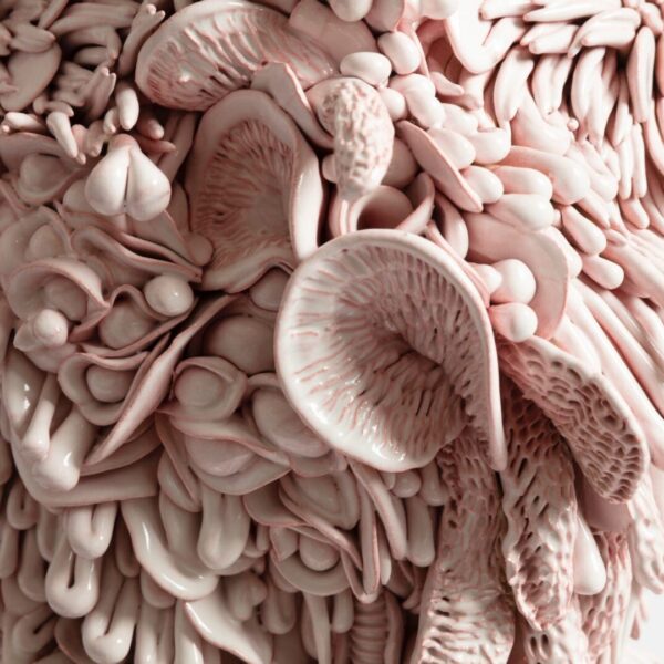 פורצי דרך בקרמיקה העכשווית