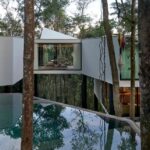 הבית שצף ביער הגשם האטלנטי של ברזיל