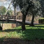 הגשר הבינלאומי הקטן ביותר בעולם, מעביר אתכם גם קדימה בזמן