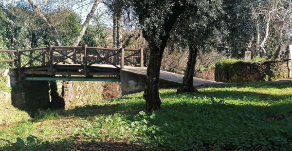 הגשר הבינלאומי הקטן ביותר בעולם, מעביר אתכם גם קדימה בזמן