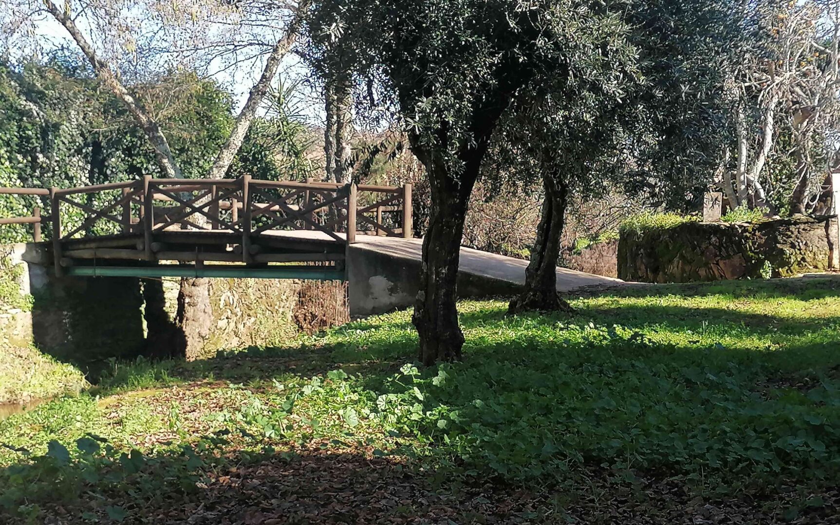 הגשר הבינלאומי הקטן ביותר בעולם, מעביר אתכם גם קדימה בזמן