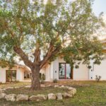 בית של פשטות, ביער עצי חרוב