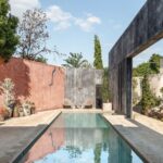 הדמות המרכזית בבית, היא עץ