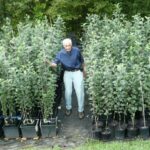 אספן תפוחי העץ, מגלה שיש מעל 7,000 זני תפוחים