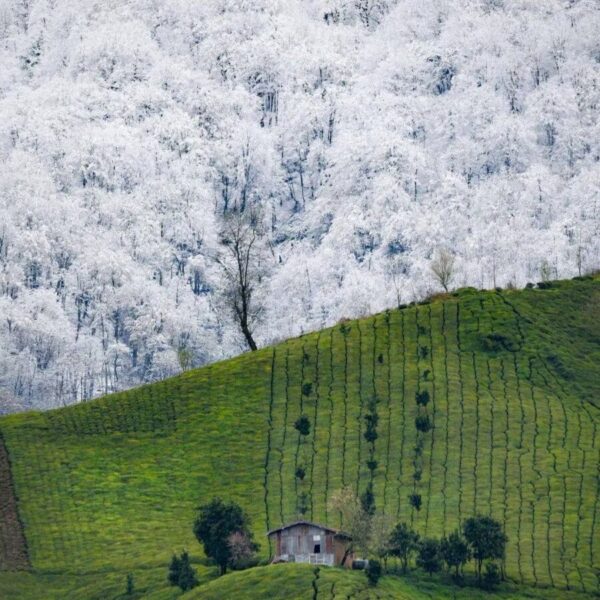 העיר אמלאש באיראן: אזור תיירות מהיפים והבתוליים ביותר