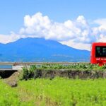 15 תחנות אוטובוס מרתקות מרחבי העולם