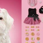 צלמת צילמה כלבים ואת רכושם, כדי להציג את חייהם