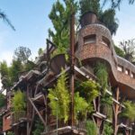 בית העץ השובב מחייה את טורינו התעשייתית